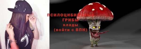 прущий лед Корсаков