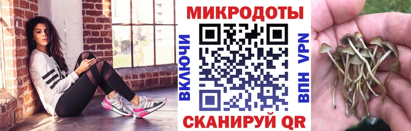 Галлюциногенные грибы Psilocybe  Купить  Зуевка 